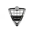 Grille de radiateur BLIC 6502-07-0105991P - Visuel 1
