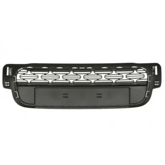 Grille de radiateur BLIC 6502-07-0531912P