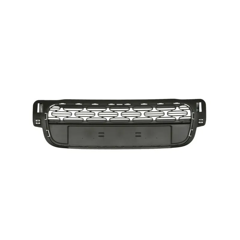 Grille de radiateur BLIC 6502-07-0531912P
