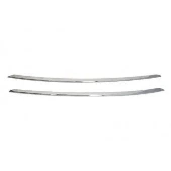 Baguette et bande protectrice, pare-chocs BLIC 6502-07-0538920P