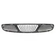 Grille de radiateur BLIC 6502-07-1111990P - Visuel 2