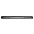 Grille de ventilation, pare-chocs BLIC 6502-07-2013910AQ - Visuel 2