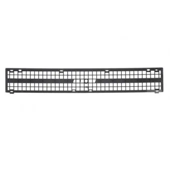 Grille de radiateur BLIC 6502-07-2021993P