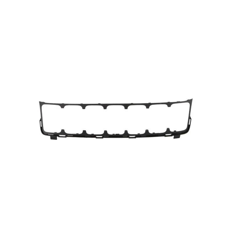 Grille de radiateur BLIC 6502-07-3207912P