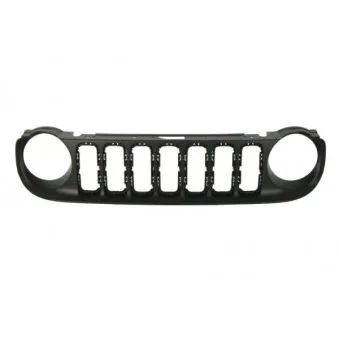 Grille de radiateur BLIC 6502-07-3216990P