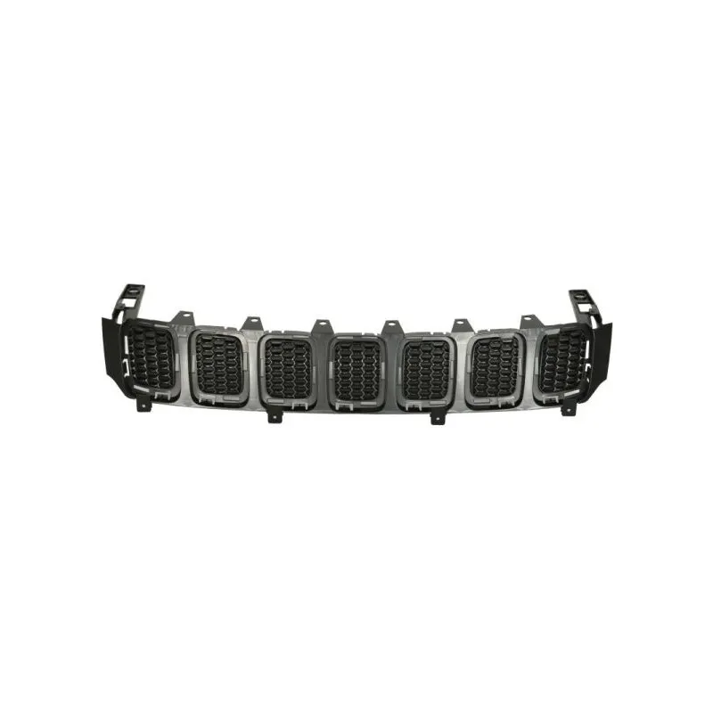 Grille de radiateur BLIC 6502-07-3217990P