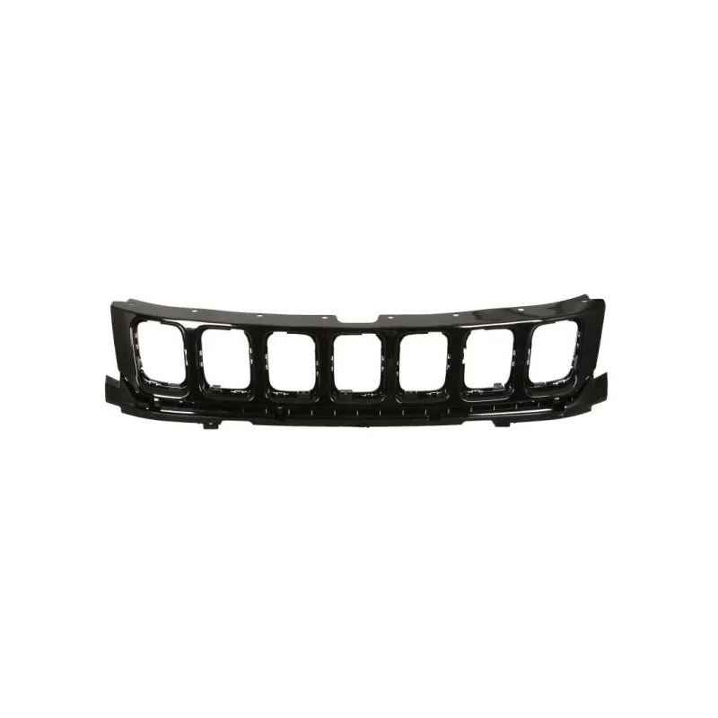 Grille de radiateur BLIC 6502-07-3217993P