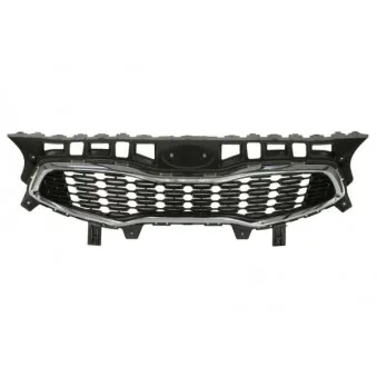 Grille de radiateur BLIC 6502-07-3268990P