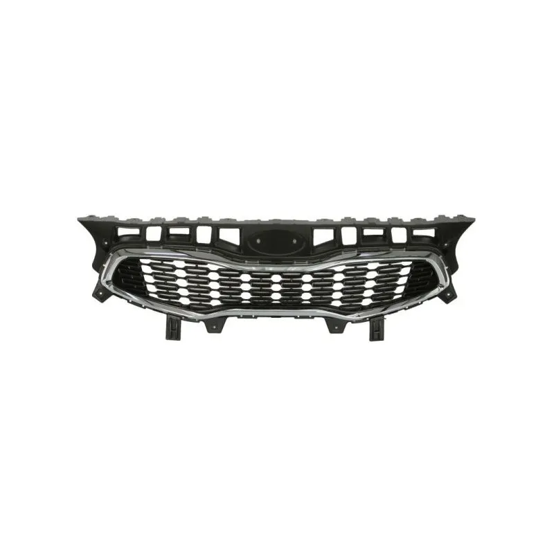 Grille de radiateur BLIC 6502-07-3268990P