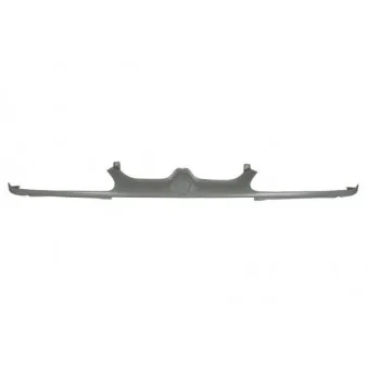 Grille de radiateur BLIC 6502-07-6036994P