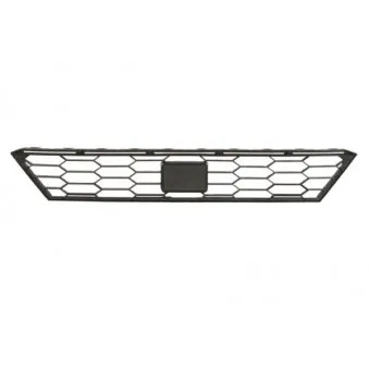 Grille de radiateur BLIC 6502-07-6623912P