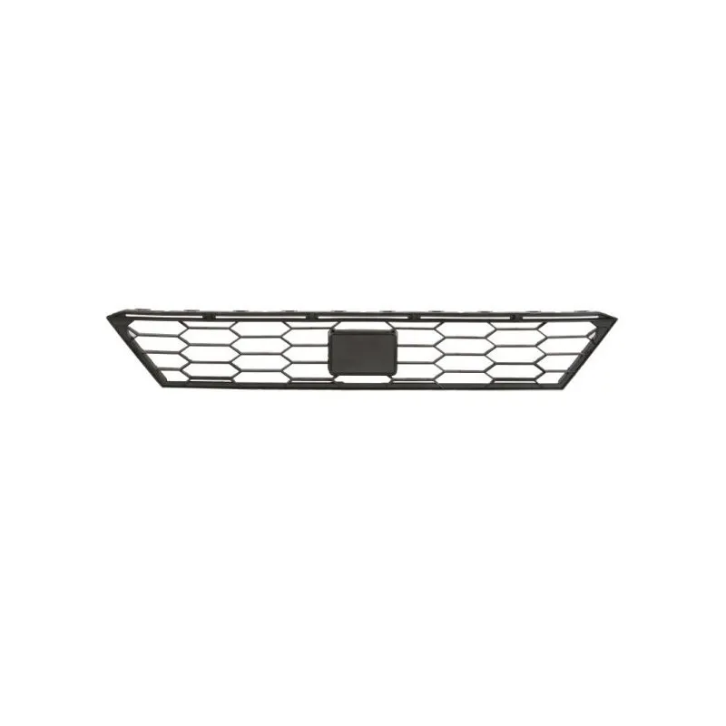Grille de radiateur BLIC 6502-07-6623912P