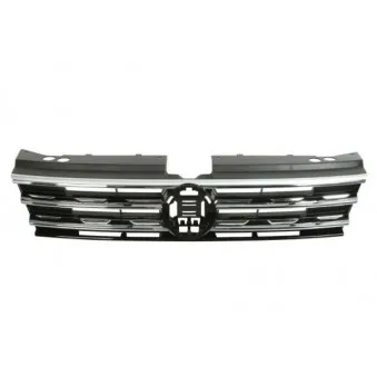 Grille de radiateur BLIC 6502-07-9588991P