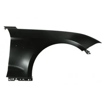 Aile avant droit BLIC