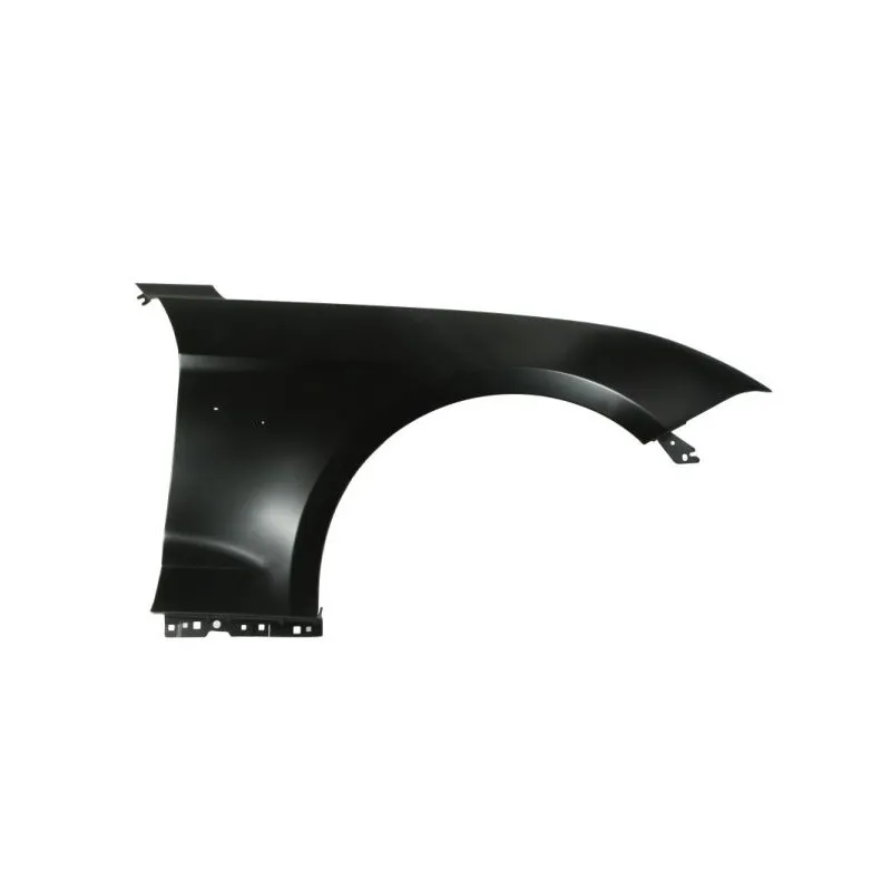 Aile avant droit BLIC 6504-04-2589316P