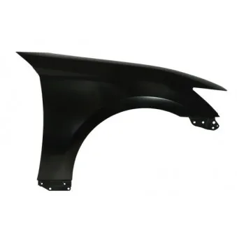 Aile avant droit BLIC