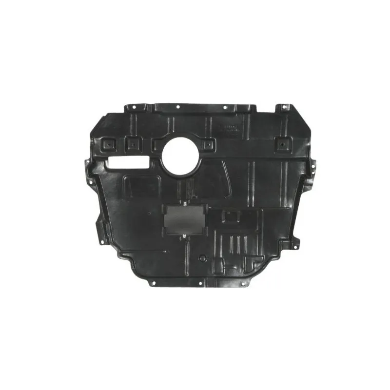 Cache moteur BLIC 6601-02-8119881P
