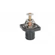 Thermostat d'eau THERMOTEC D2C004TT - Visuel 1