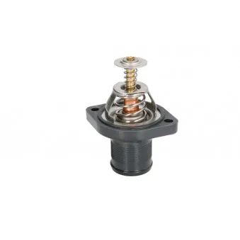Thermostat d'eau THERMOTEC D2C004TT