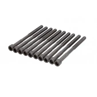 Jeu de boulons de culasse de cylindre ELRING 290.390