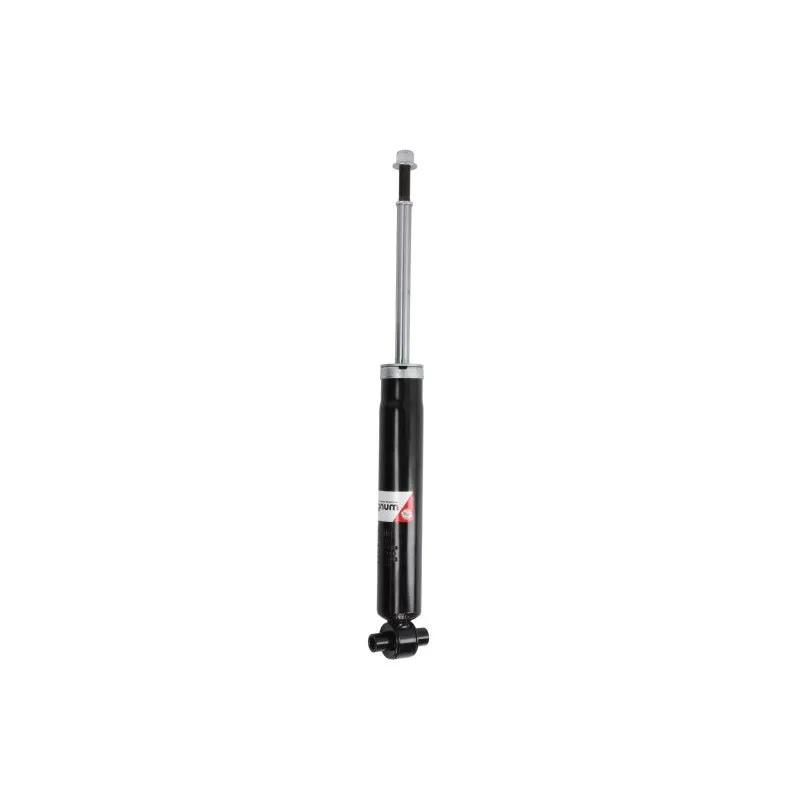 jeu de 2 amortisseurs arrière MAGNUM TECHNOLOGY AGC051MT