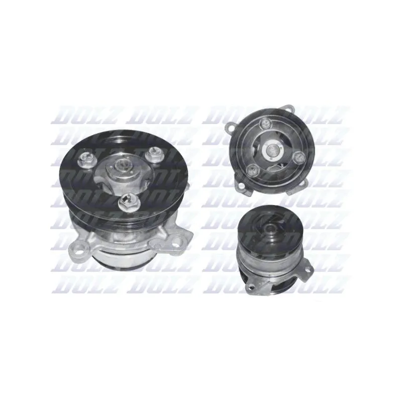 Pompe à eau DOLZ F239