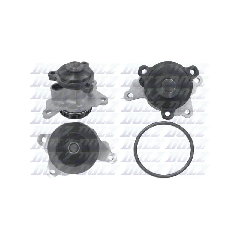 Pompe à eau DOLZ R243