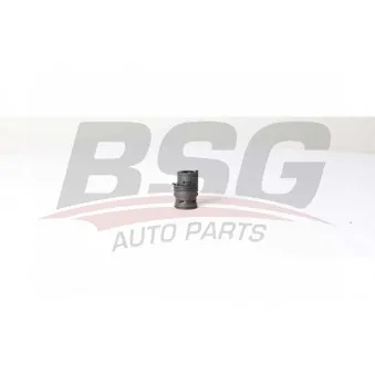 Thermostat, refroidissement d'huile BSG BSG 15-125-008