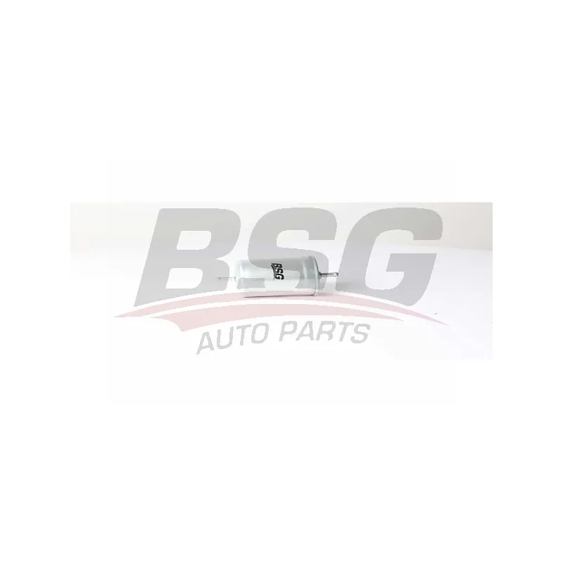 Filtre à carburant BSG BSG 15-130-001