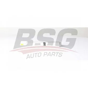 Filtre à carburant BSG BSG 15-130-003