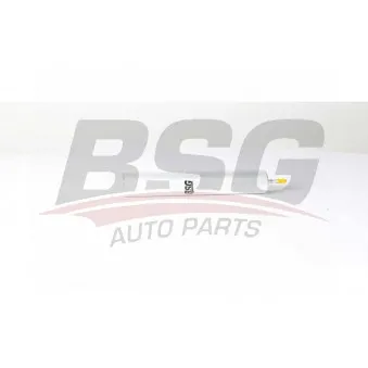 Filtre à carburant BSG BSG 15-130-004