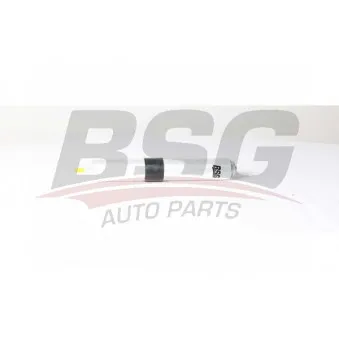 Filtre à carburant BSG BSG 15-130-005