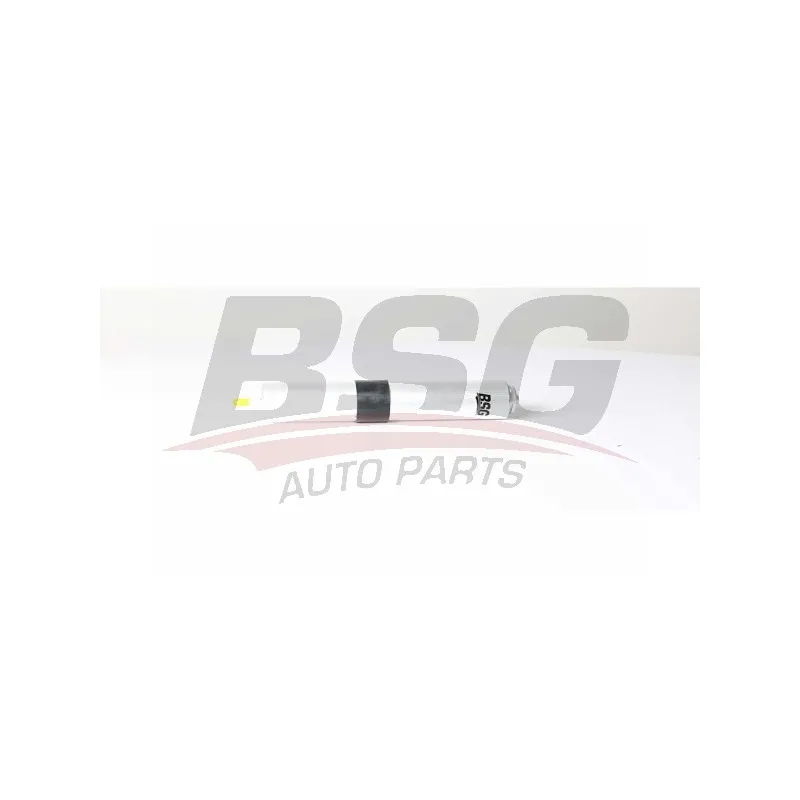 Filtre à carburant BSG BSG 15-130-005