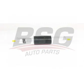 Filtre à carburant BSG BSG 15-130-006