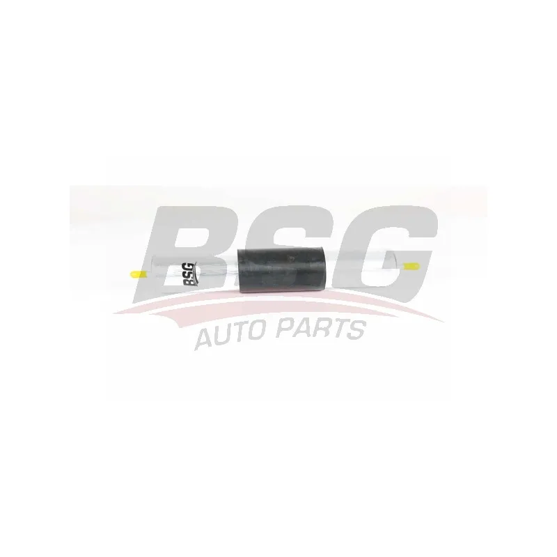 Filtre à carburant BSG BSG 15-130-006