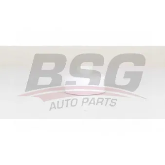 Filtre à carburant BSG BSG 15-130-008