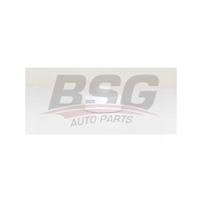 Filtre à carburant BSG BSG 15-130-008