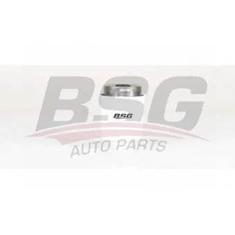 Filtre à carburant BSG BSG 15-130-009