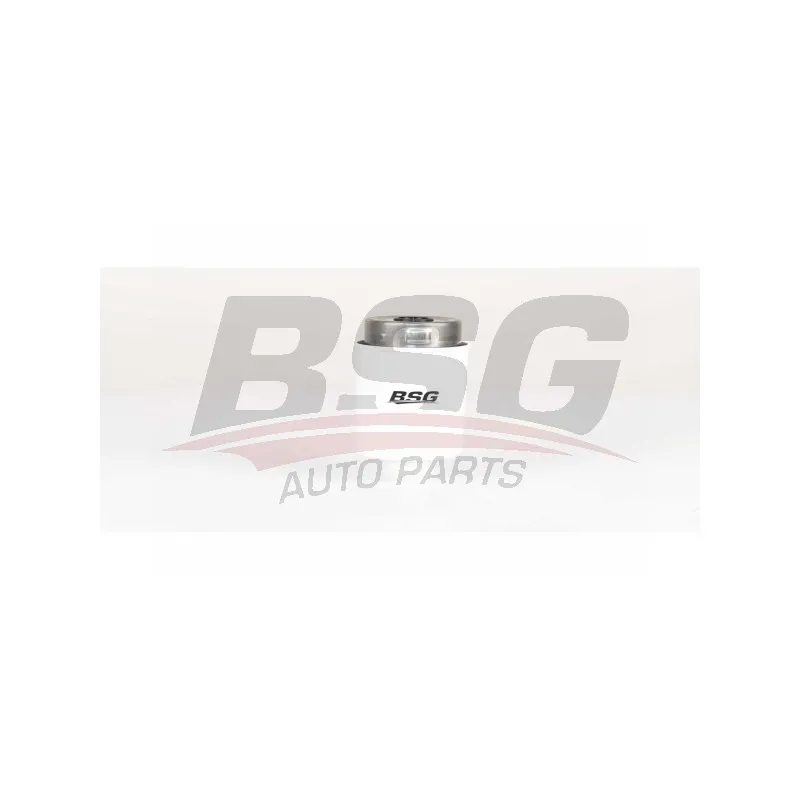 Filtre à carburant BSG BSG 15-130-009