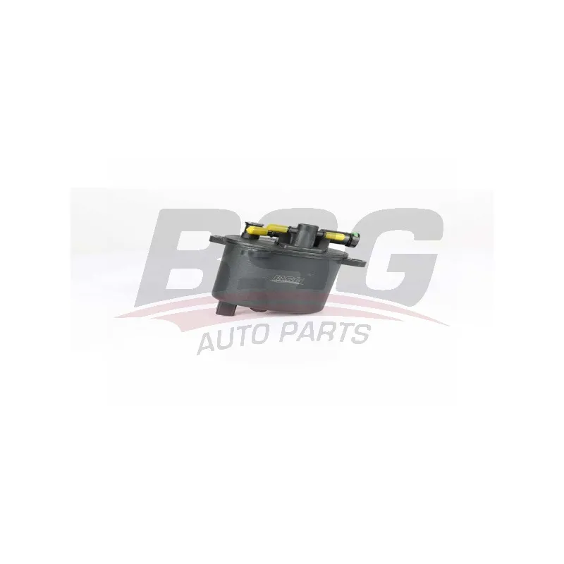 Filtre à carburant BSG BSG 15-130-011