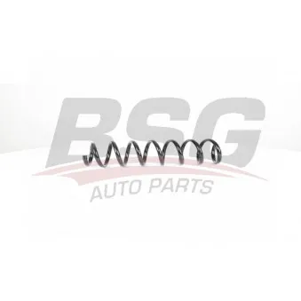 Ressort de suspension BSG BSG 15-305-002