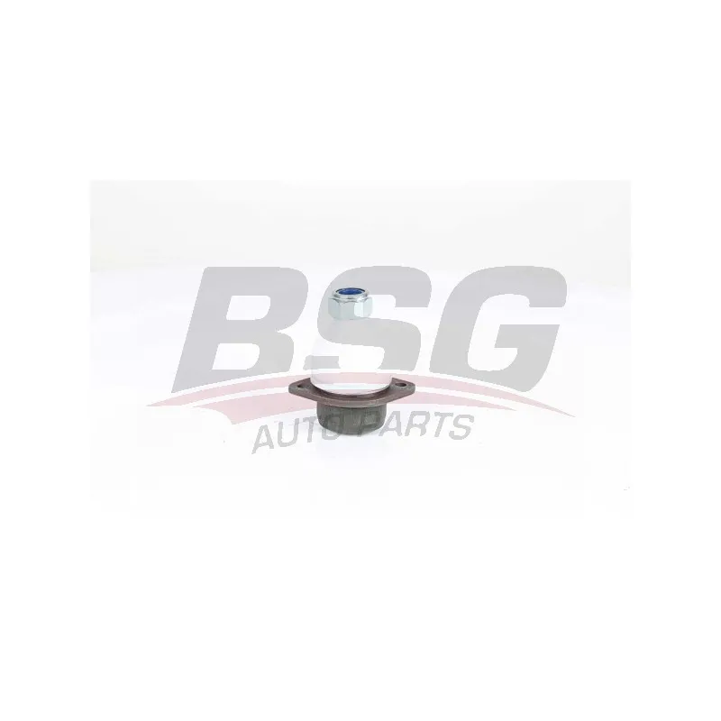 Rotule de suspension BSG BSG 15-310-182