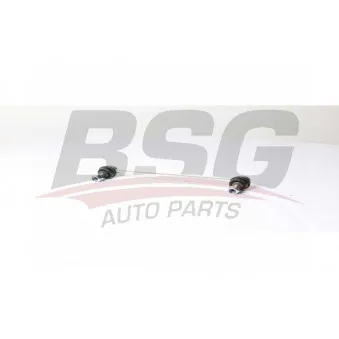 Entretoise/tige, stabilisateur BSG BSG 15-310-189
