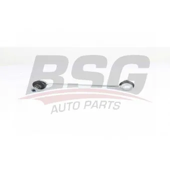 Entretoise/tige, stabilisateur BSG BSG 15-310-192