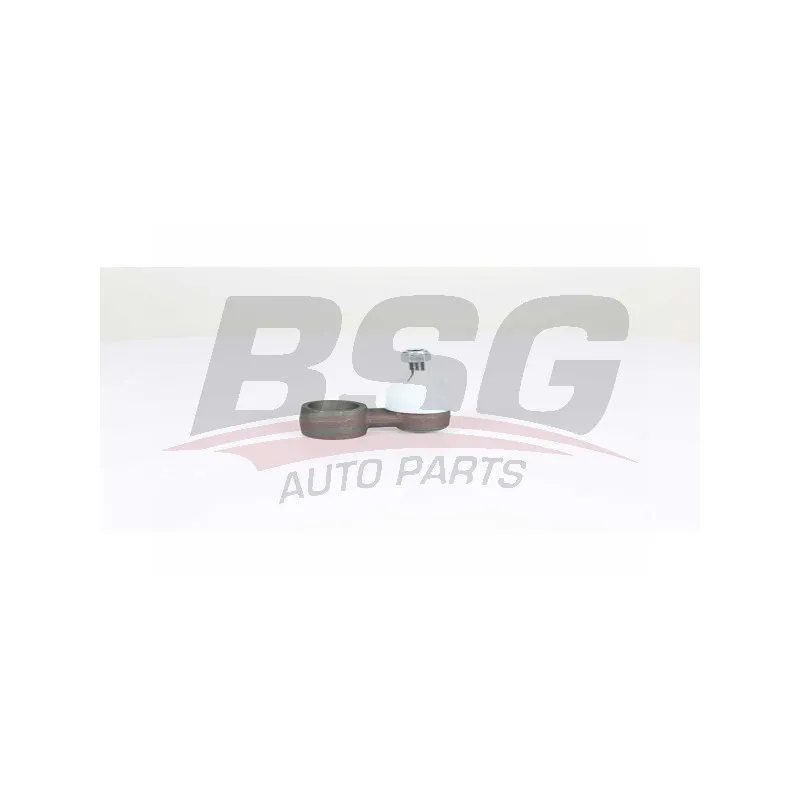 Entretoise/tige, stabilisateur BSG BSG 15-310-198