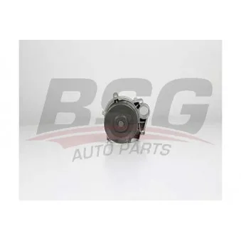 Pompe à eau BSG BSG 15-500-009