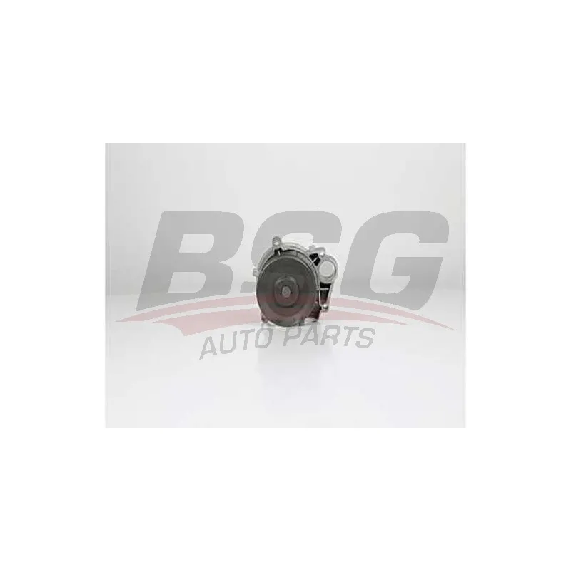 Pompe à eau BSG BSG 15-500-009