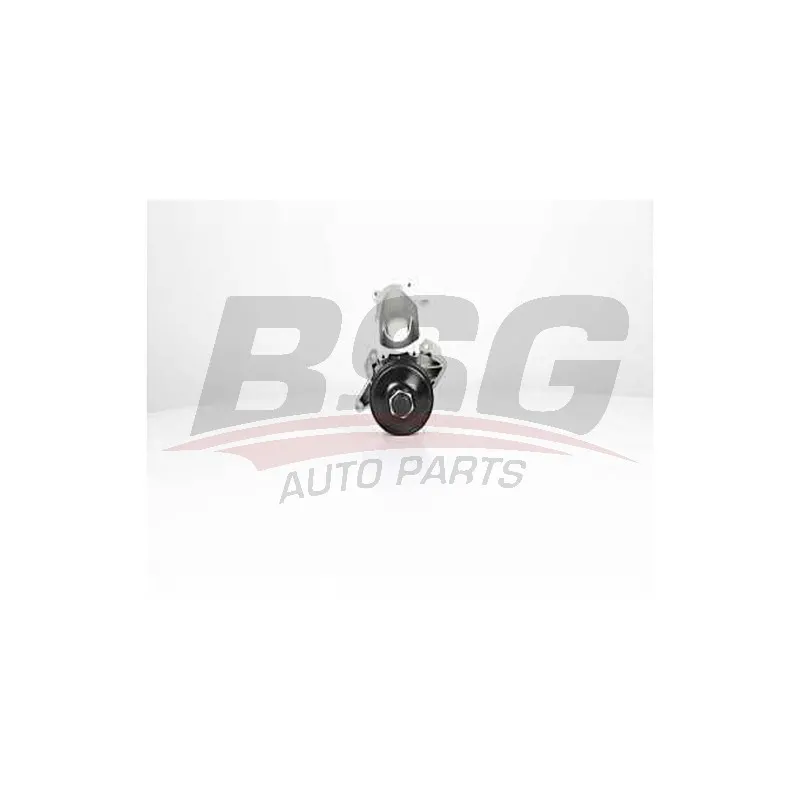 Pompe à eau BSG BSG 15-500-012
