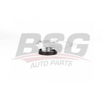 Pompe à eau BSG BSG 15-500-015