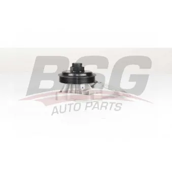 Pompe à eau BSG BSG 15-500-018